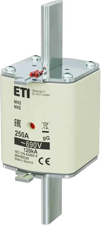 Obraz NH2 gG 250A/690V