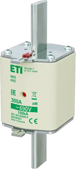Obraz NH2 aM 300A/690V