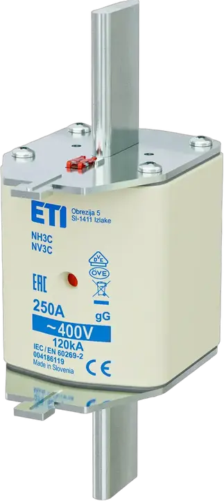 Obraz NH3C gG 250A/400V