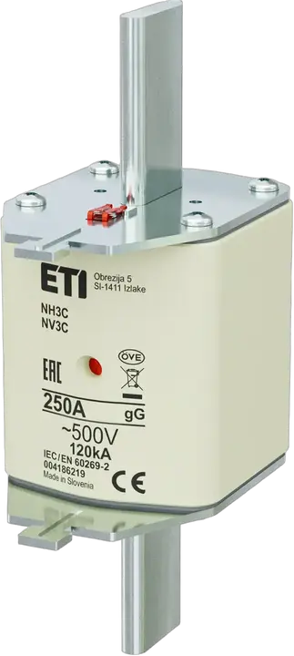 Obraz NH3C gG 250A/500V