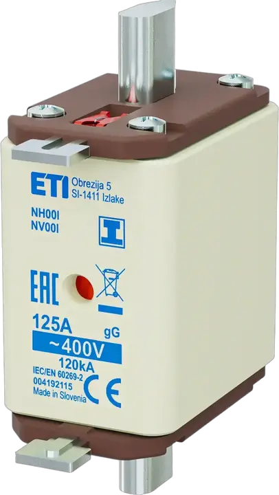 Obraz NH00/I gG 125A/400V