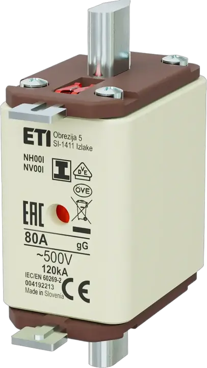 Obraz NH00/I gG 80A/500V