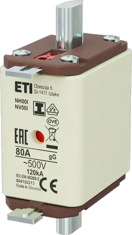 NH00/I gG 80A/500V