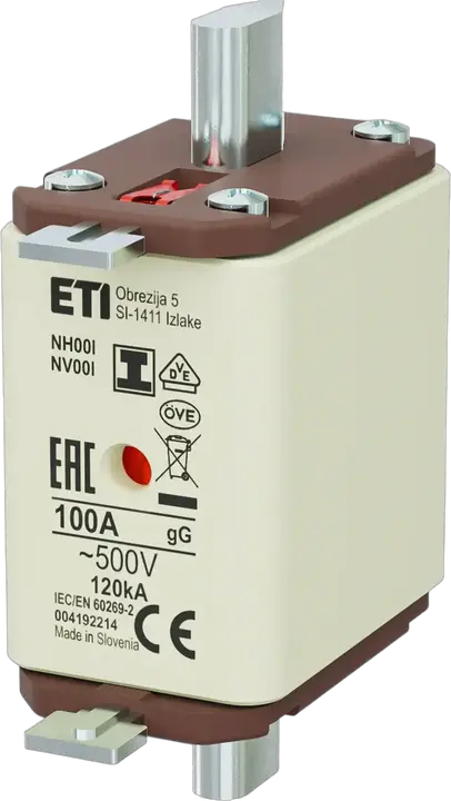 Obraz NH00/I gG 100A/500V