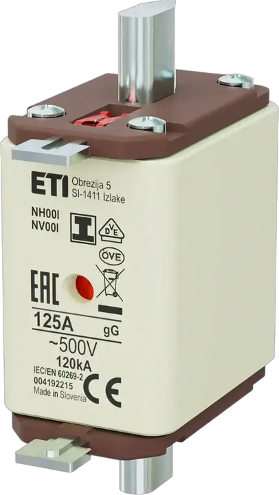 Obraz NH00/I gG 125A/500V