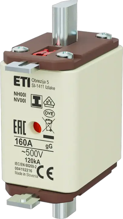 Obraz NH00/I gG 160A/500V