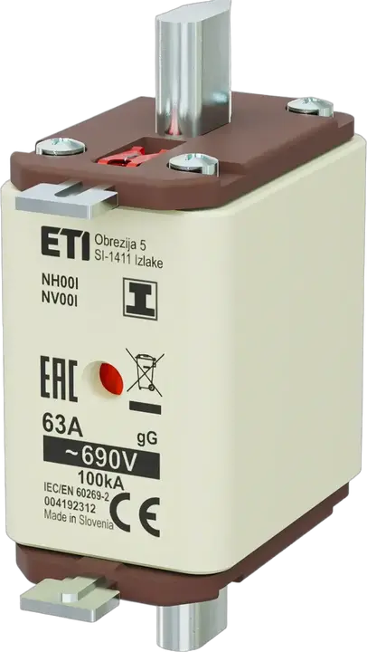 Obraz NH00/I gG 63A/690V