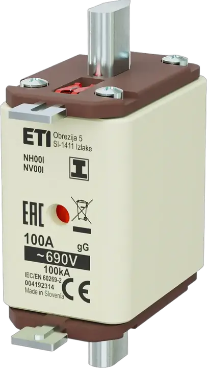 Obraz NH00/I gG 100A/690V