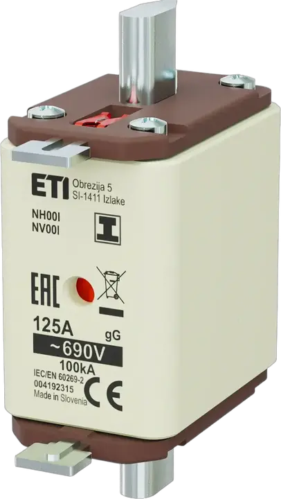 Obraz NH00/I gG 125A/690V