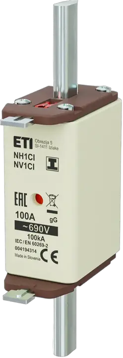 Obraz NH1C/I gG 100A/690V