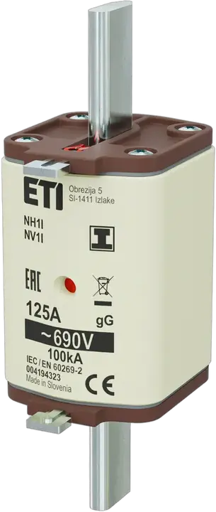 Obraz NH1/I gG 125A/690V