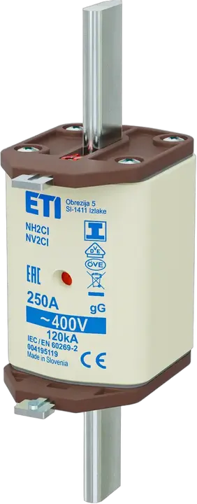 Obraz NH2C/I gG 250A/400V