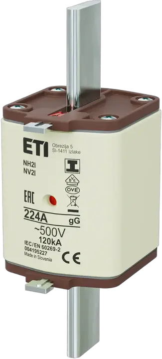 Obraz NH2/I gG 224A/500V