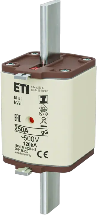 Obraz NH2/I gG 250A/500V