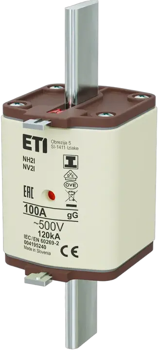 Obraz NH2/I gG 100A/500V