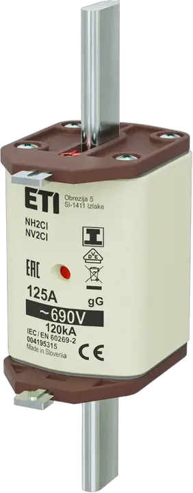 Obraz NH2C/I gG 125A/690V