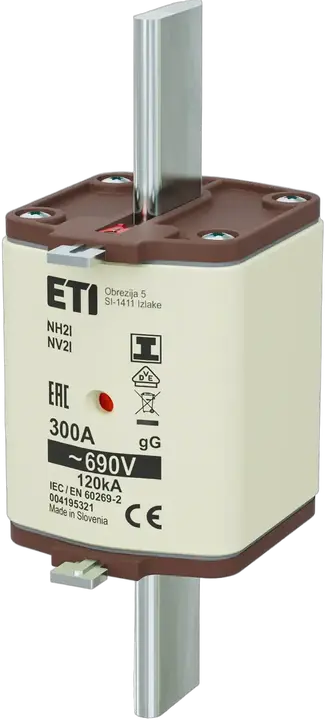 Obraz NH2/I gG 300A/690V