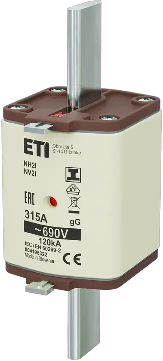 Obraz NH2/I gG 315A/690V