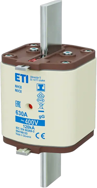 Obraz NH3/I gG 630A/400V