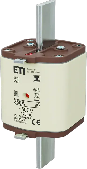 Obraz NH3/I gG 250A/500V