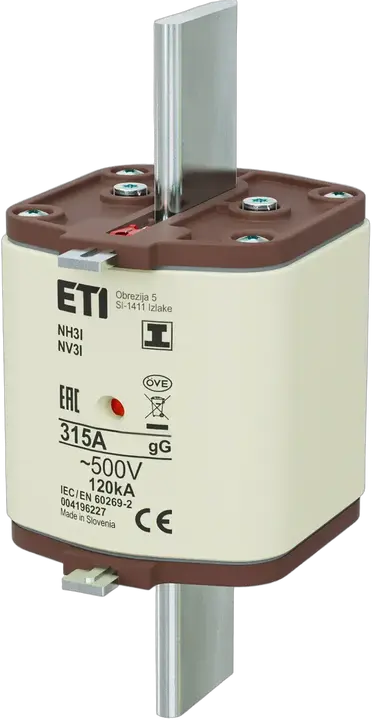 Obraz NH3/I gG 315A/500V