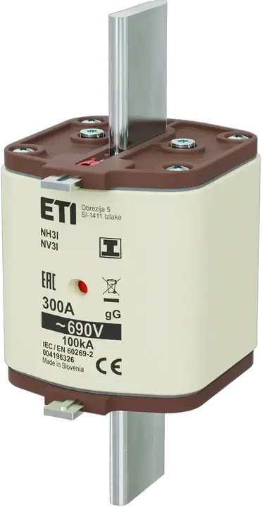 Obraz NH3/I gG 300A/690V