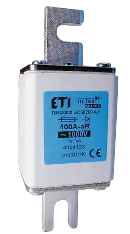 NHS1/110 UQ01 aR 315A/1000V
