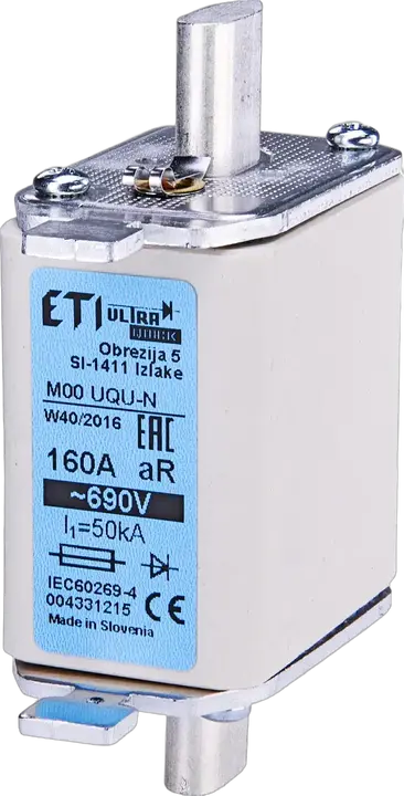 Obraz NH00 UQ gR 25A/690V