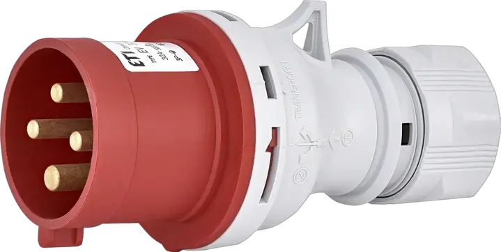Obraz EV 3243