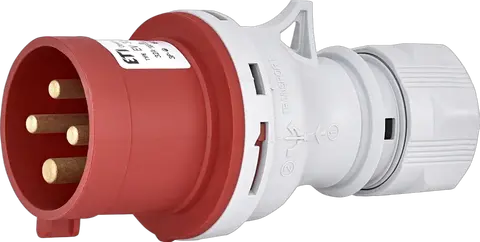 Obraz EV 3243