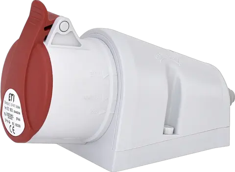 Obraz EZ 1653