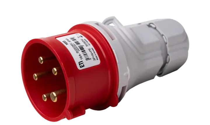 Obraz EV 1653 N