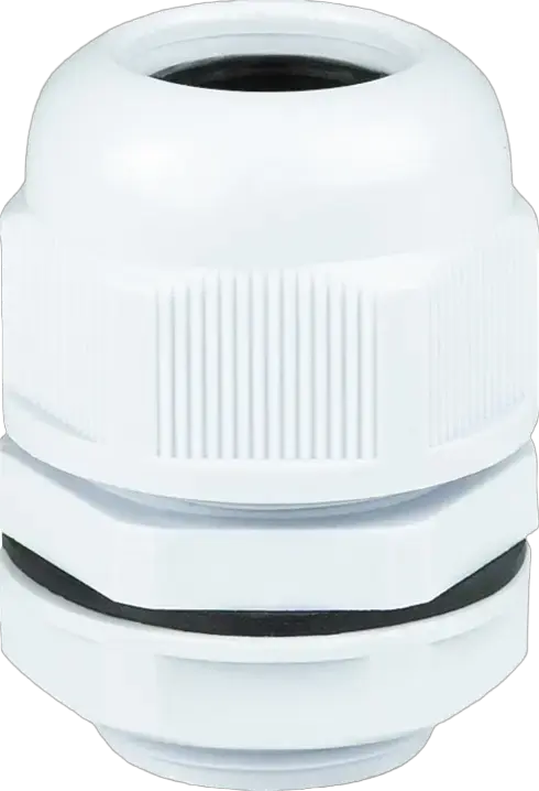 Obraz M-25E