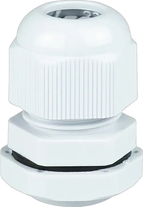 Obraz PG-11E