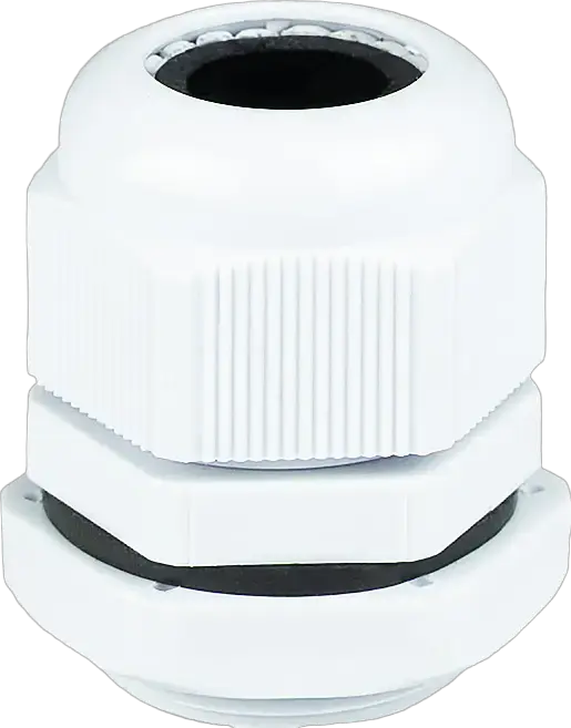 Obraz PG-19E