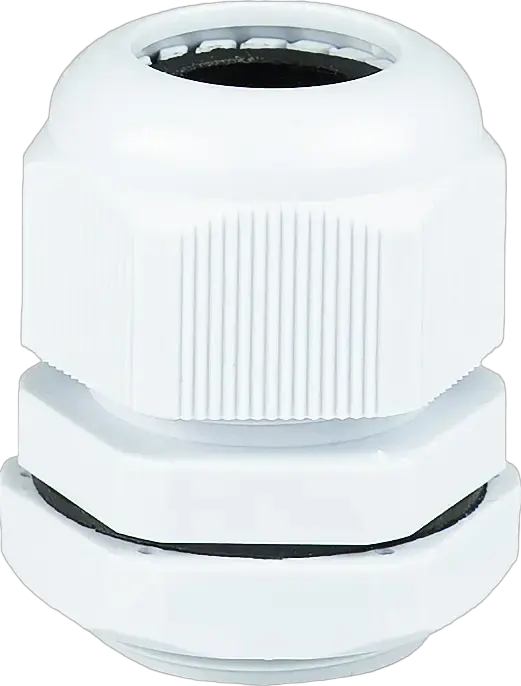 Obraz PG-21E