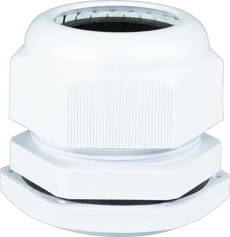 Obraz PG-42E
