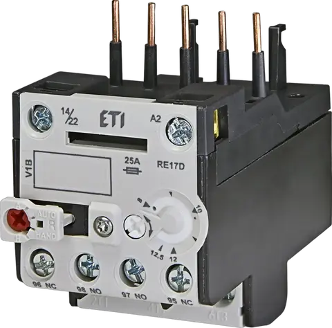 Obraz RE17D-12,5