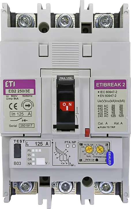 Obraz EB2 250/3E 125A 3p