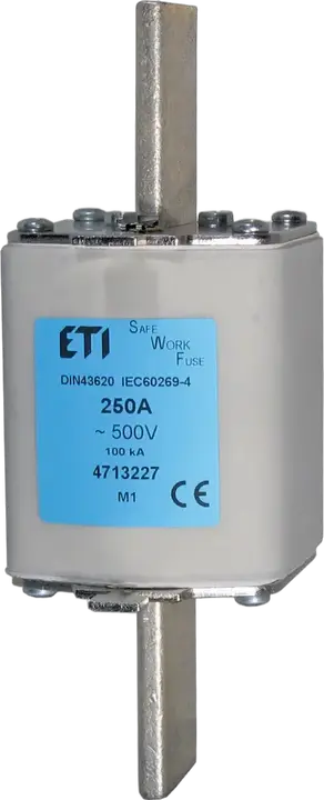 Obraz NH2 SWF 125A/500V