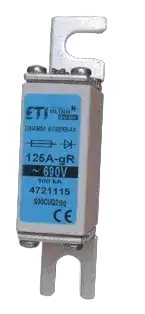 NHS000/80 UQ2 gR 32A/690V