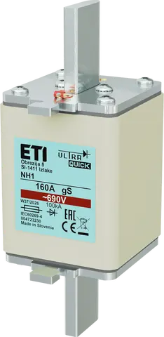 *NH1 gS 160A/690V