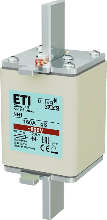 Obraz *NH1 gS 160A/800V