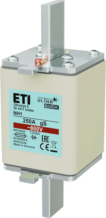 Obraz *NH1 gS 250A/800V