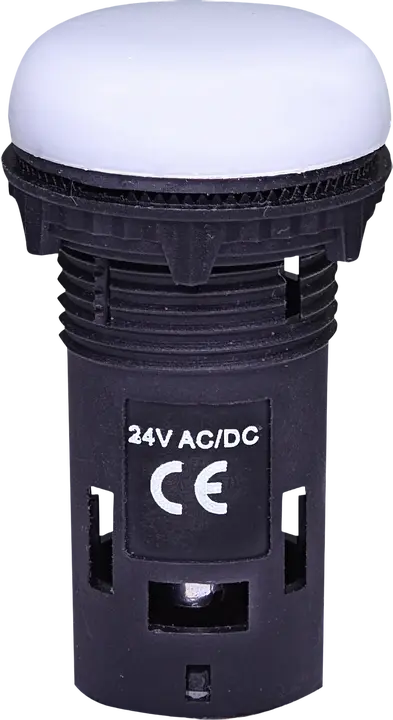 Obraz * ECLI-024C-W