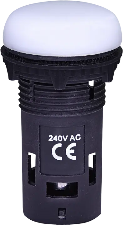 Obraz * ECLI-240A-W