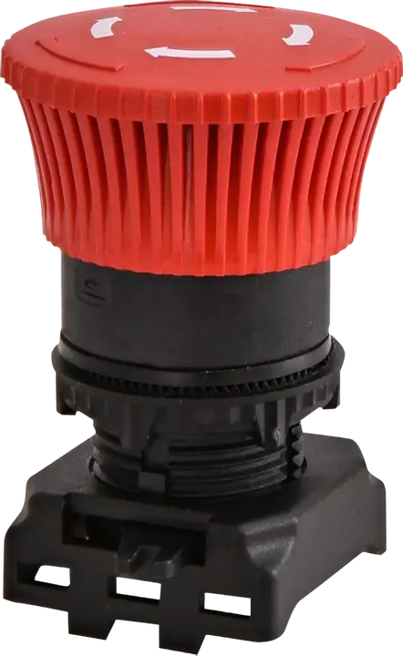 Obraz EGM-T-R