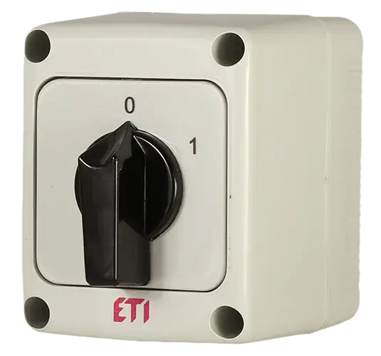 Obraz * CS 10 10 PN